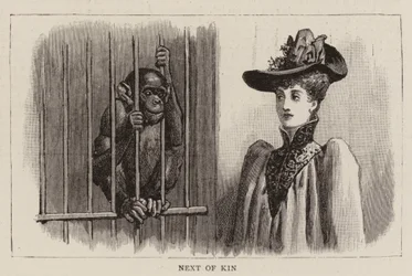 Passeggiate nello zoo